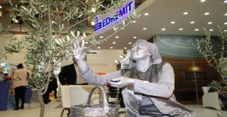 Vali Yazıcıdan Davet; Lütfen Balıkesire Gelin