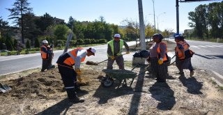 Yemyeşil Top Akasyalar Gelenleri Selamlıyor