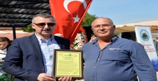 “Geleneksel 5. Kestane Kabağı Festivali