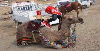 14.uluslararası Yörük Ve Türkmen Festivali Yapıldı