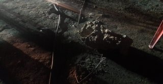 Siirtte Maganda Kurşunu