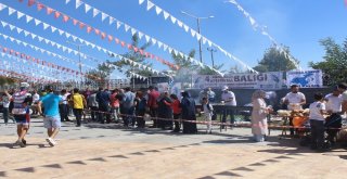 Vanda Balık Festivaline Yoğun İlgi