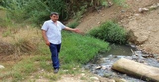 Hatayda Vatandaşların Dereye Akan Kanalizasyon Lağım Suyu Tepkisi