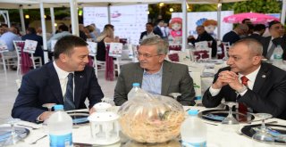 Başkentin Kültür Mirası Ankara Kedisine Ödül