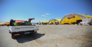 Yenimahallede Kurban İçin Hazırlıklar Başladı