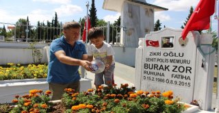 Şehidin Mektubundaki Sözleri Mezar Taşında