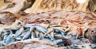 Balıkçılar 1 Eylülde Vira Bismillah Diyecek