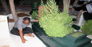 (Özel) Oğlunun Ölümüne Dayanamayan Baba Mezarı Başında Yatıyor