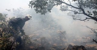 Midyatta Ormanlık Alanda Çıkan Yangın Sürüyor