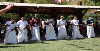 Ormana Üzüm Festivalinde Renkli Görüntüler