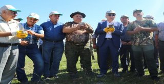 Kırklarelinde 2 Bin Adet Keklik Doğaya Bırakıldı