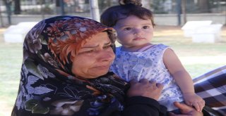 Hiç Görmediği Şehit Babasıyla Mezarda Bayramlaştı