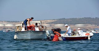 Aliağada Şenlik Havasında Deniz Temizliği