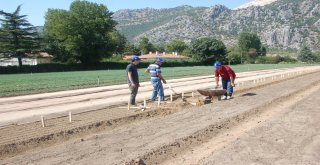 Eğirdir Fidanlık Müdürlüğü İle Batı Akdeniz Ormancılık Araştırma Enstitüsünden Ortak Çalışma