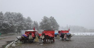 Abant Tabiat Parkı Kar Yağışıyla Beyazlara Büründü