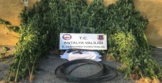 Antalyada Uyuşturucu Operasyonuna 17 Tutuklama