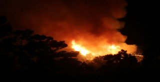 Antalyada  Orman Yangını Devam Ediyor