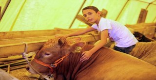 Başkentliler Yakacıkta Pazarlığa Tutuştu