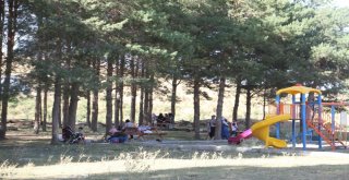 Kayyumun Açtığı Piknik Alanı Dolup Taşıyor