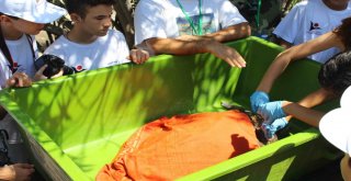 Öğrenciler Doğada Bilimle Buluştu