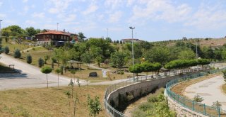 Kavakta Sosyal Alan Sayısı Artıyor