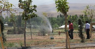 Mesire Alanında Çimlendirme Çalışması