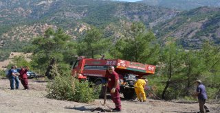 Orman Yangınında Yaban Hayvanları Zarar Gördü