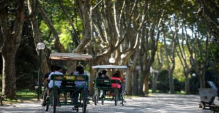 Kurban Bayramında Hayvanat Bahçesine Yoğun İlgi