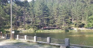 Kastamonunun Sihirli Güzelliği Dipsizgöl Turizme Kazandırılıyor