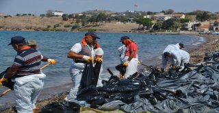 Foçada Deniz Temizliği Devam Ediyor