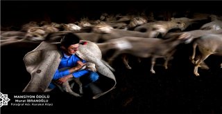 Karesi Belediyesinin Fotoğraf Yarışması Sonuçlandı