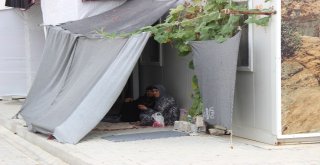 Suriyeliler Kampta Mutlu Ama Ülkelerine Dönmek İstiyor