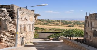 Dicle Elektrikten Tilloya 185 Bin Liralık Yatırım