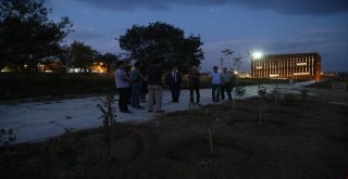 Troya Müzesinde İlk Işıklar Yanmaya Başladı