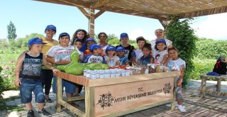 Ata Tohumları Aydın Büyükşehir İle Hayat Buluyor