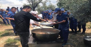 Şehit Aileleri Kurbanlıklarını Askerle Paylaştı