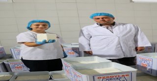 (Özel Haber) Ezine Peynirinin Sırrı Otlayan Koyun, Keçi Ve İneklerde Gizli