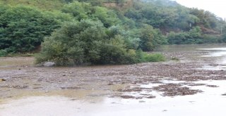 Şiddetli Yağış Sera Gölünü Çöp Ve Çamurla Kapladı