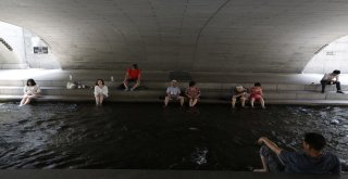 Güney Korede Aşırı Sıcaklar Ölümlere Neden Oluyor