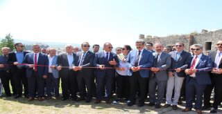 Ardahanda Bal Festivali Coşkusu