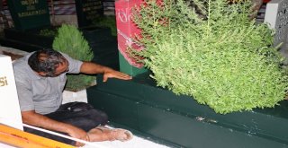 (Özel) Oğlunun Ölümüne Dayanamayan Baba Mezarı Başında Yatıyor