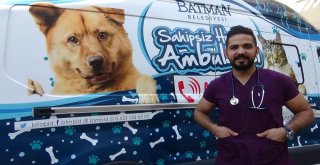 (Özel) Zifte Düşen Köpekler Hayvanseverler Tarafından Kurtarıldı