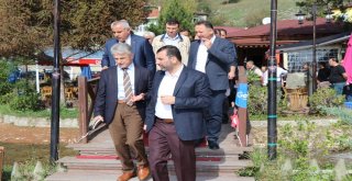 Kedilere Tripleks Villa