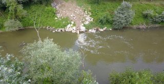 (Özel) Osbnin Atık Suları İle Kirlenen Sakarya Nehri Havadan Görüntülendi