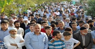 Yasin Börü Ve Arkadaşları Mezarları Başında Anıldı