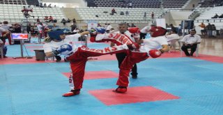 Türkiye Kick Boks Şampiyonası Elazığda Başladı