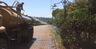 Sapancada Bayram Hazırlığı Başladı