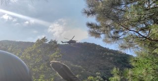 Uludağda Yaşanan Can Pazarı Kameralara Böyle Yansıdı