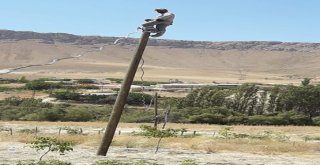 İlk Kez Elektriğe Kavuştular