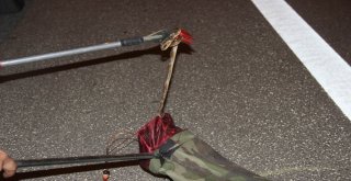 Otomobile Giren Yılana Biber Gazlı Müdahale